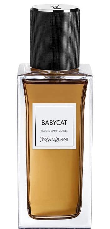 baby cat ysl rev.